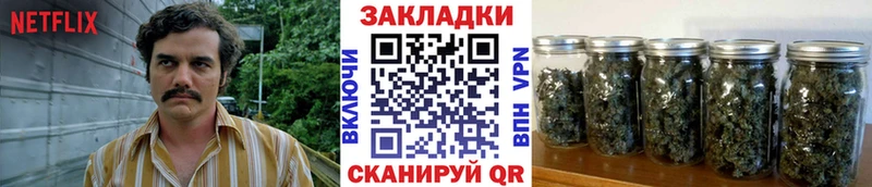 Виды наркотиков купить Волжск Cocaine  Метадон  Конопля 