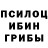 Галлюциногенные грибы мицелий Oleg Demba
