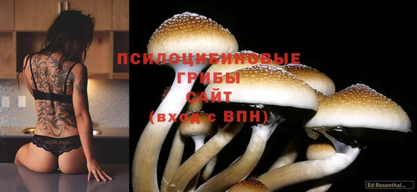 мдма Белокуриха