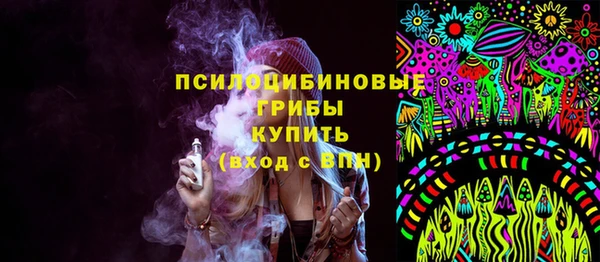 прущая мука Богородск