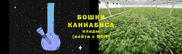 СК Сосновка