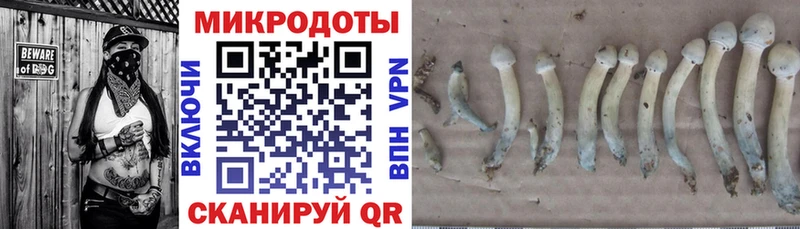 Галлюциногенные грибы мухоморы  где купить наркоту  Волжск 