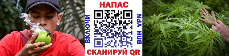 Шишки марихуана ГИДРОПОН  площадка состав  Волжск 